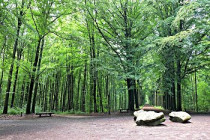 Tervuren